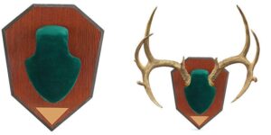 Allen Antler Mounting Kit, Green Skull